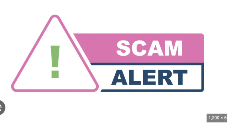 Realmarkets.online Exposed