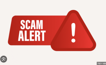 Sfmultitd.com Under Scrutiny