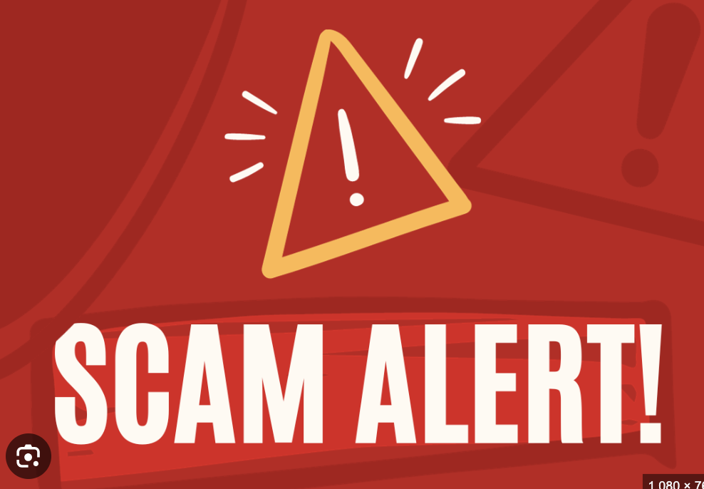 The Dark Side of Airovexinvest.net