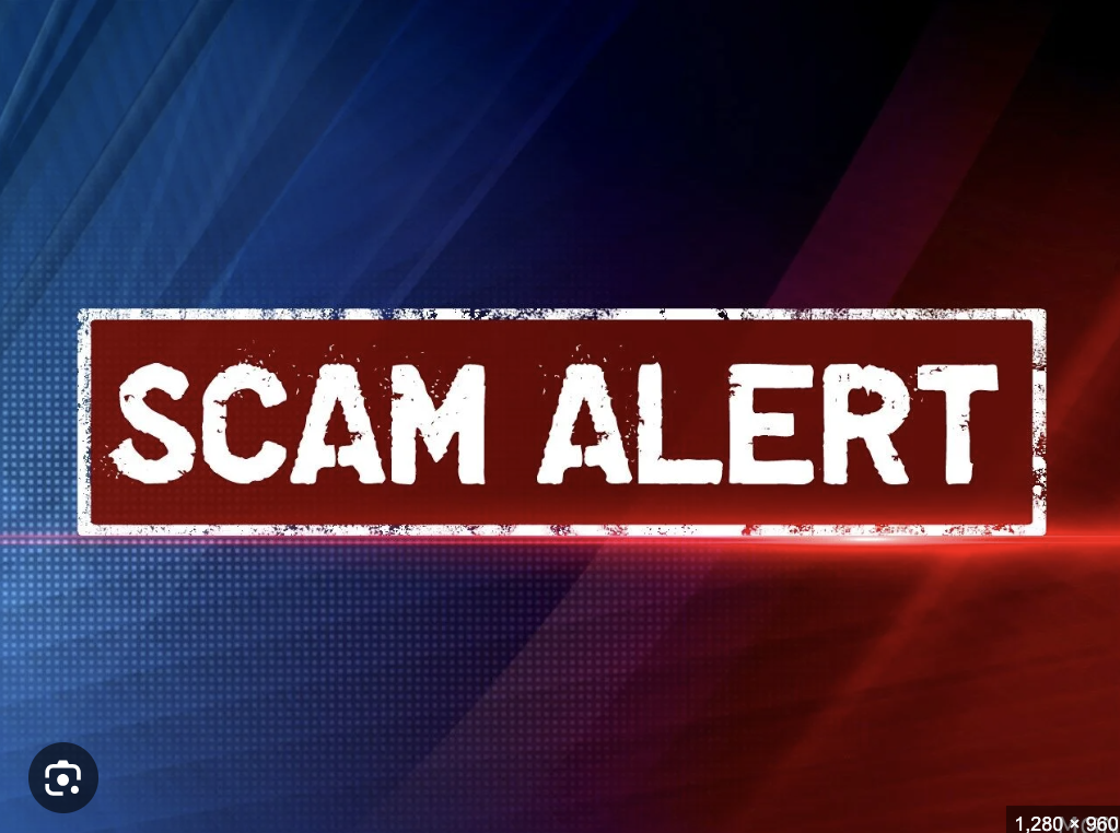 Ws-group.cc Scam Review