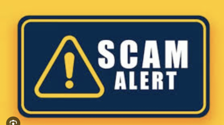 The Dangers of Echowealthai.net