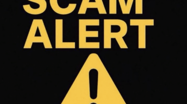 The Dark Side of Solidsmartsprofits.live