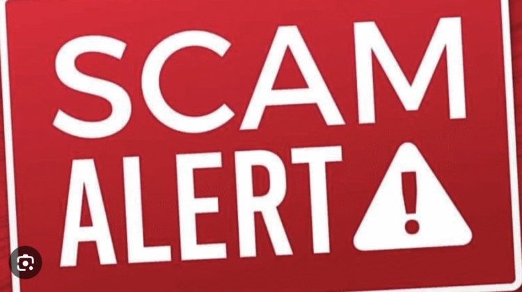 The Dark Side of Suravextrade-89-Nova.net