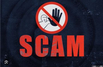 The Inside Scoop on Bridgealphacorp.net