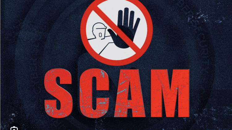 The Inside Scoop on Bridgealphacorp.net