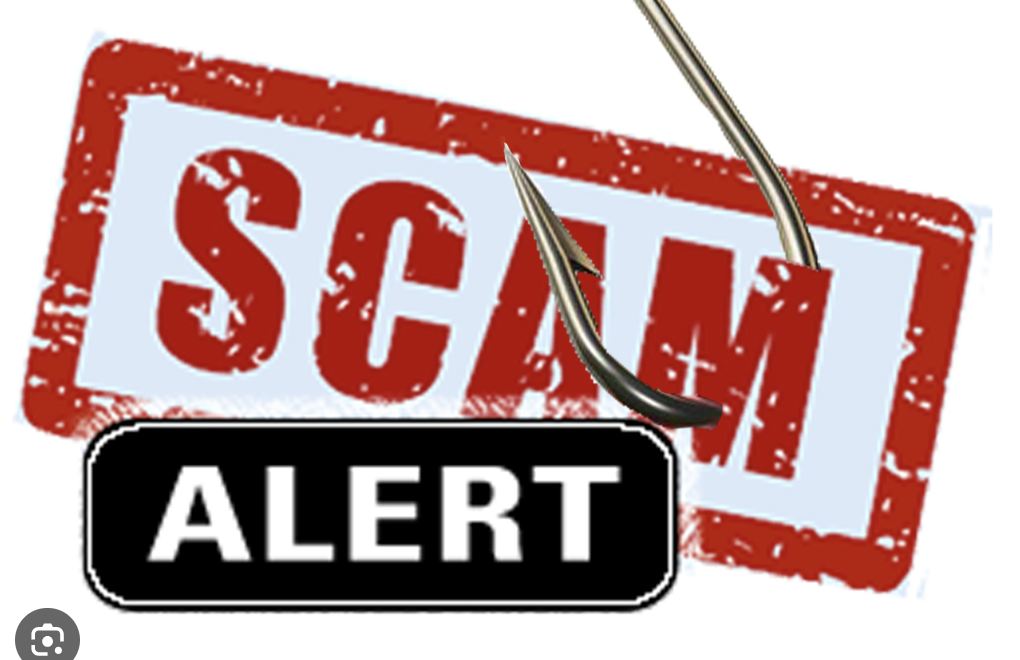 The Real Deal on Rootgaleincome.net