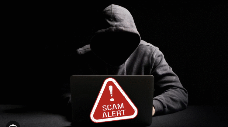 The Red Flags of the Octopus-asset.com