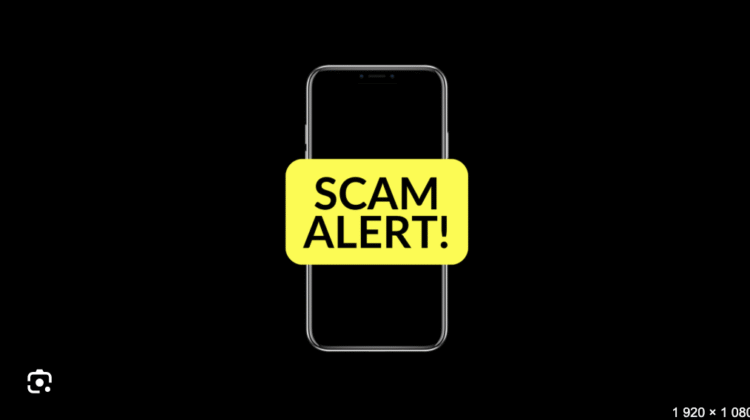 Synthexcapitals.com Scam Review