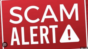 The Red Flags of Digitalsharemarket.info