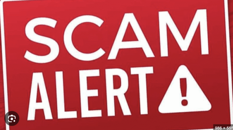 The Red Flags of Digitalsharemarket.info