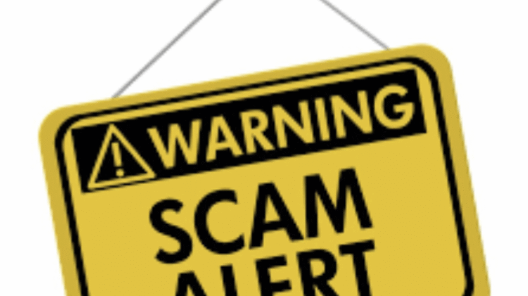 Steadyedge.top Under Scrutiny