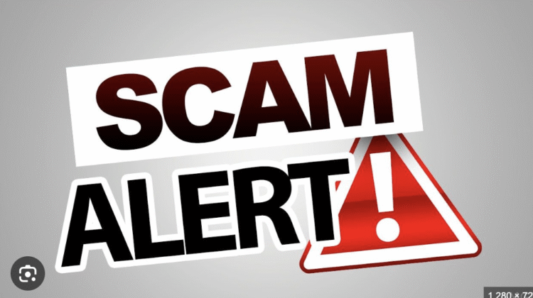 Patrimoinetrade.pro Scam Allegations