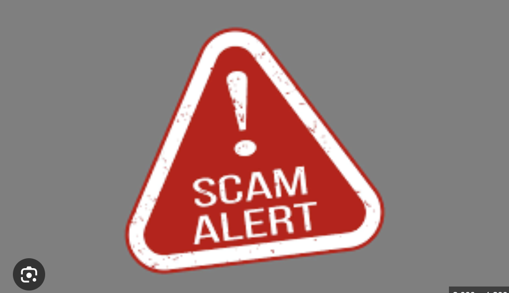 Zavonixtrader71.net Scam Review