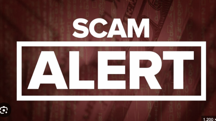 Bwg.bettersclub.com Under the Microscope