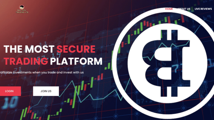 Dmsintl-tradinglt.com Under the Microscope