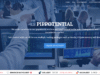 Pippotential.com Under Scrutiny