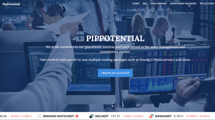 Pippotential.com Under Scrutiny