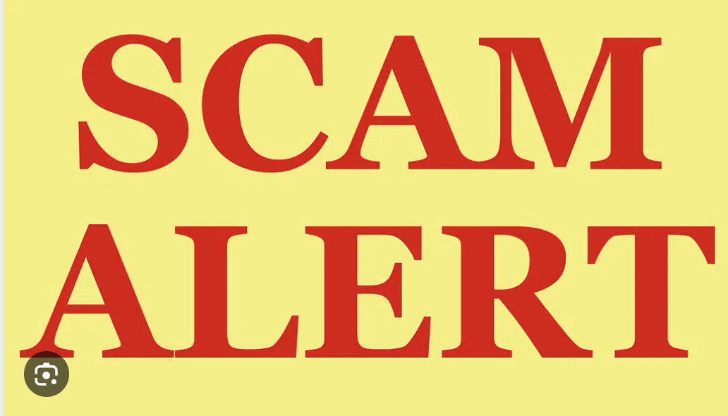 Our In-Depth Review of Hafrenlimited.co.uk