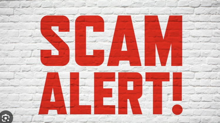 The Real Story Behind Softitradespro.com