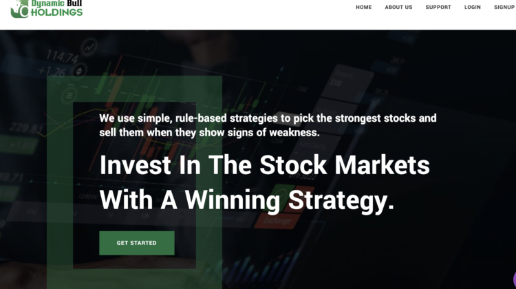 The Dark Side of Dynamicbullholdings.com