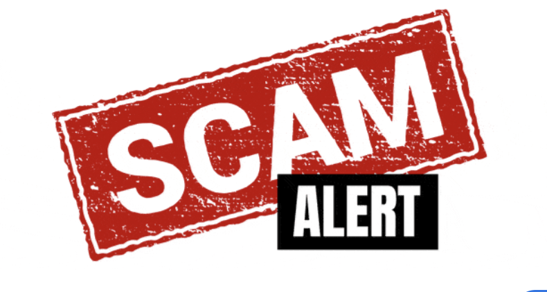 The Dark Side of Verge-Funds.ltd