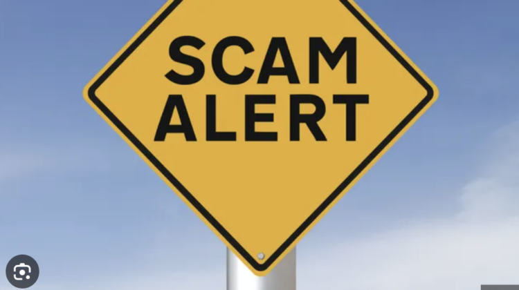 A Comprehensive Review of the Blofinext.com Scam