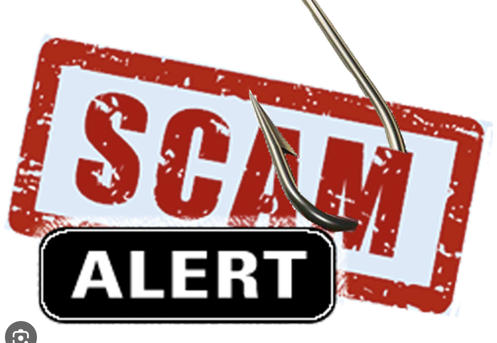 Bitflytraders.com Under Scrutiny