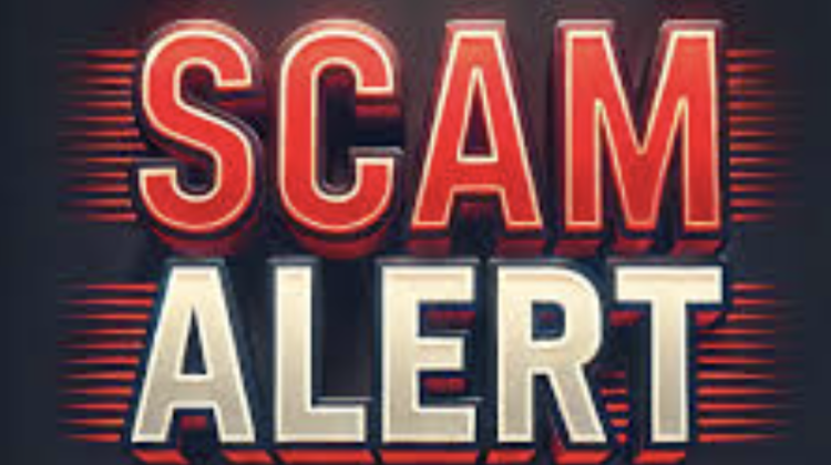 Regalpointglobal.com Under Scrutiny