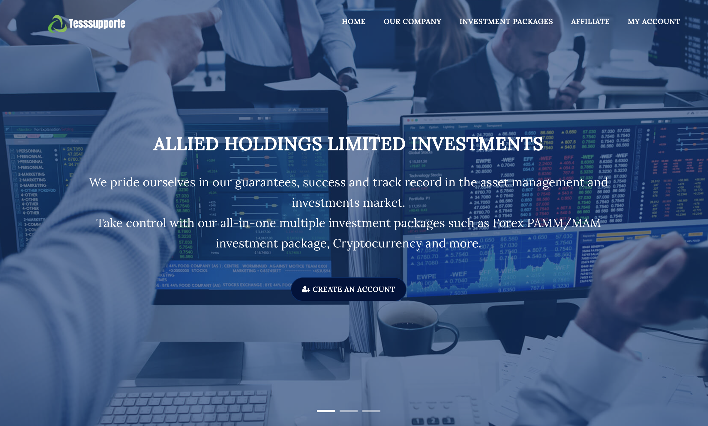 Unmasking Tesssupporter.com