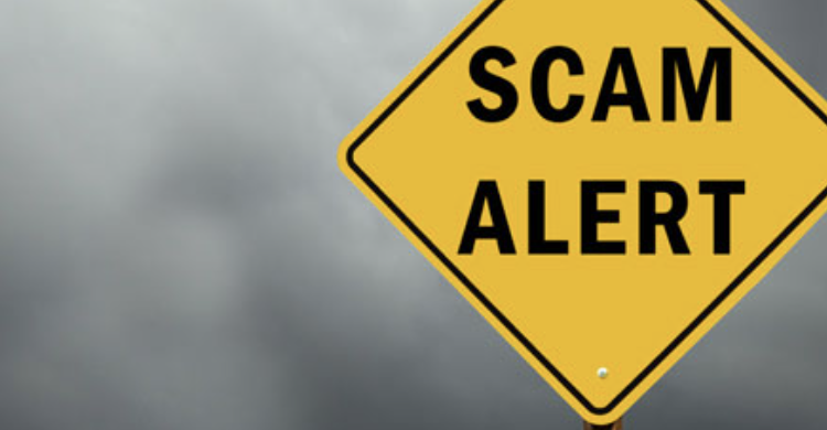 The Rise and Fall of Cryptoinfinitevault.com