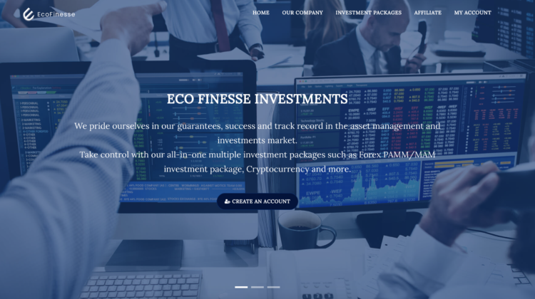 The Shocking Reality of Ecofinesse.net