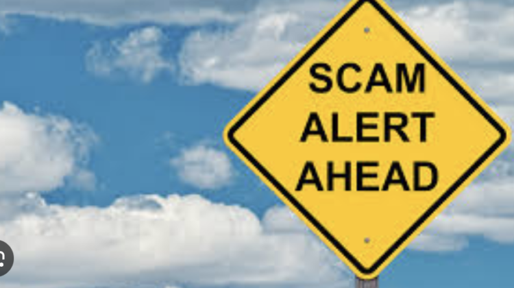 Globaldigitaloptions.com Under Scrutiny