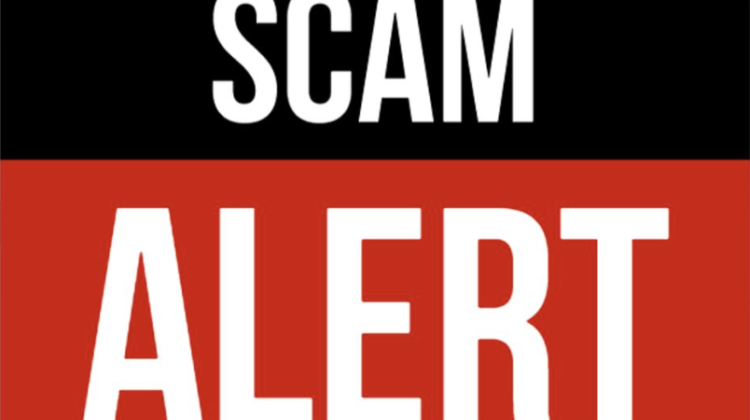 The Dark Side of Miroidtrading.net