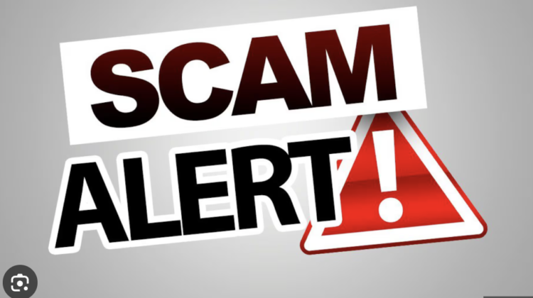 The Dark Side of Titaniumbridges.com