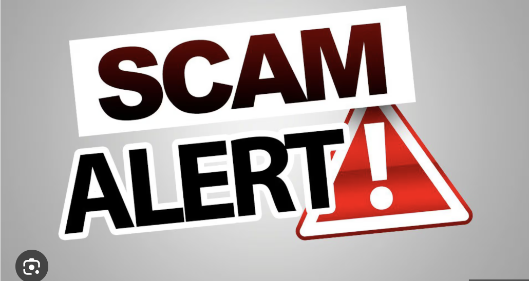 The Dark Side of Titaniumbridges.com