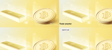 A Comprehensive Scam Review of Binjusdt.com