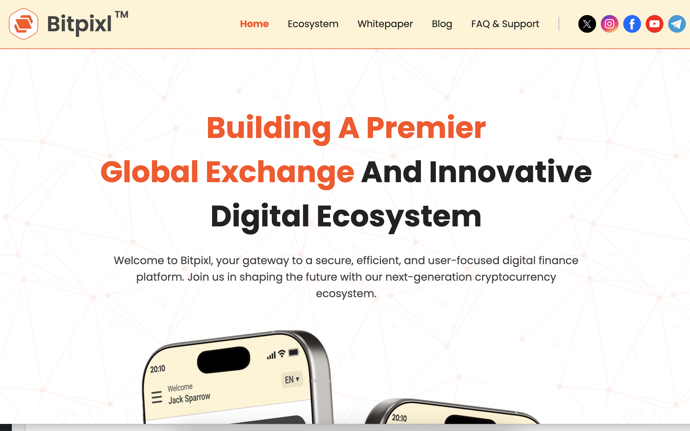 Bitpixl.com Scam Review