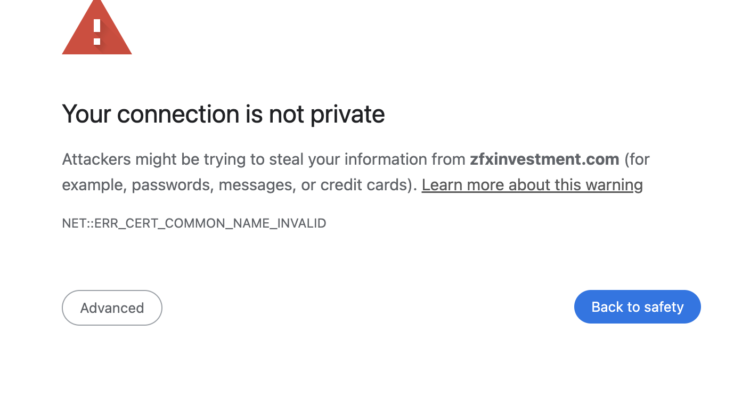 The Unveiling of Zfxinvestment.com