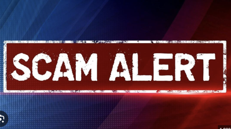 A Comprehensive Nexichain.com Scam Review