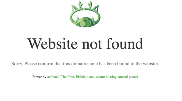 Unmasking Has-ethcoin.pro