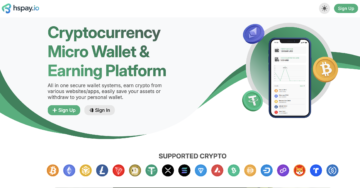 The Dark Side of Hspay.io