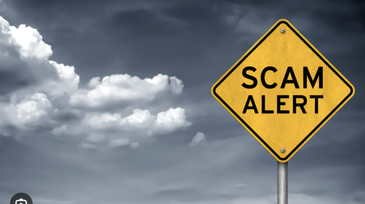 The Hidden Dangers of Wqfplus.vip