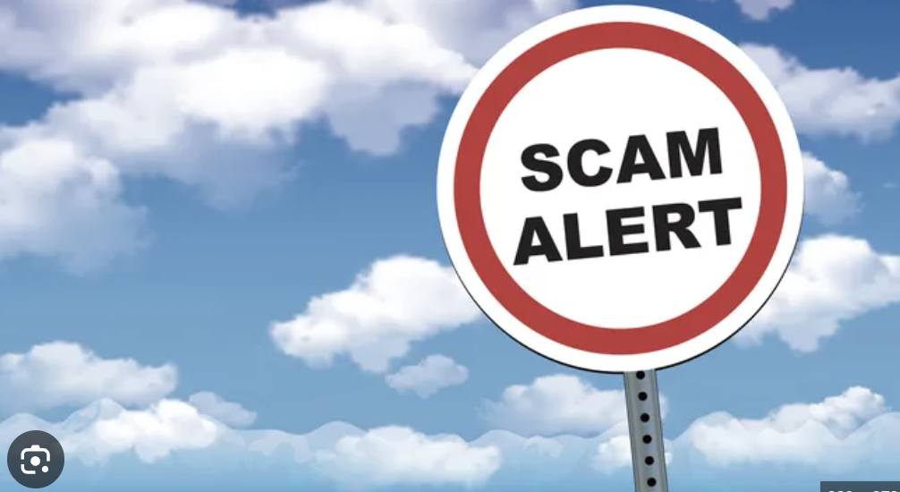 Tkearn.vip Under Investigation