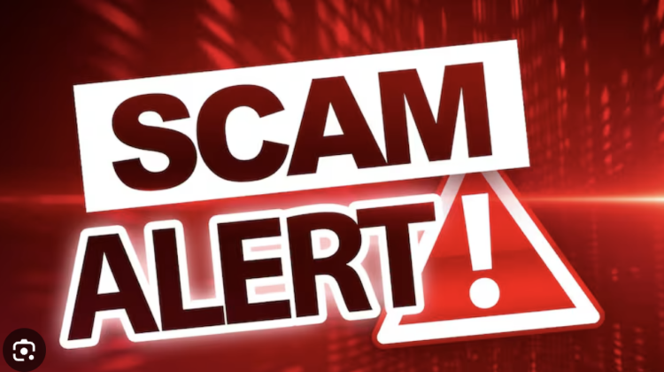 Vynectiscapital.cc Exposed