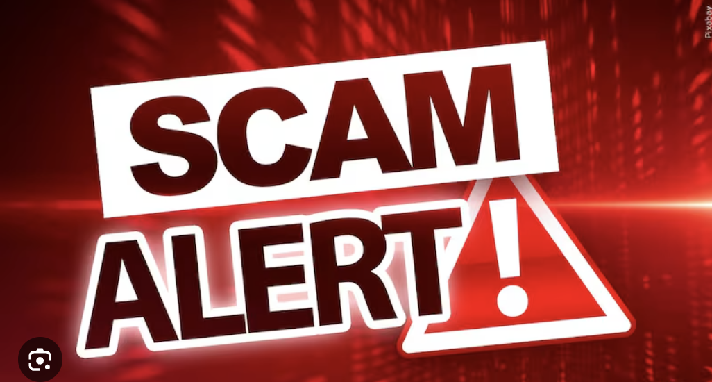 Vynectiscapital.cc Exposed