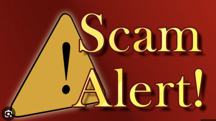 A Comprehensive Scam Review of Bitgerms.com