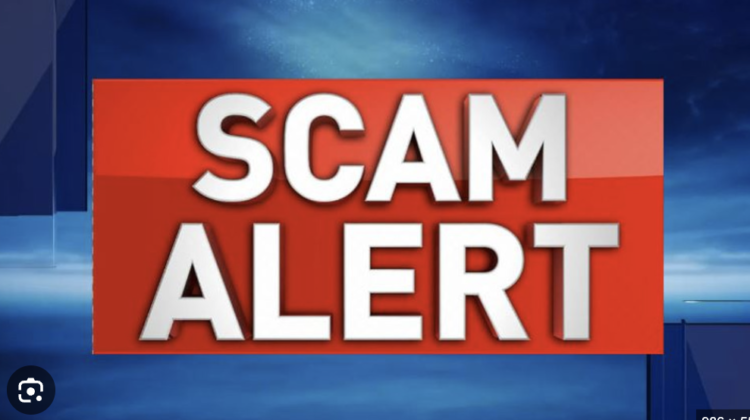 The Dark Side of Dlcex.com