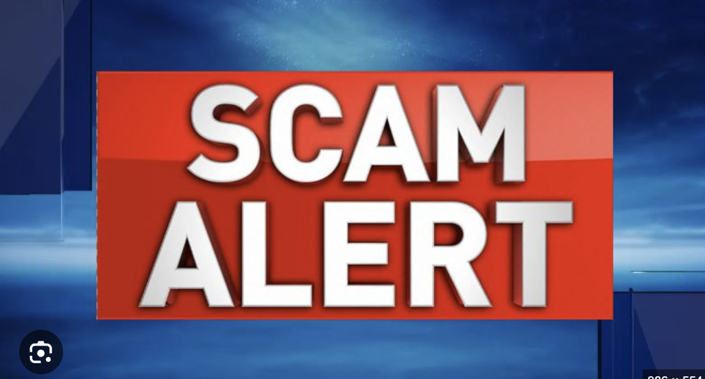 The Dark Side of Dlcex.com